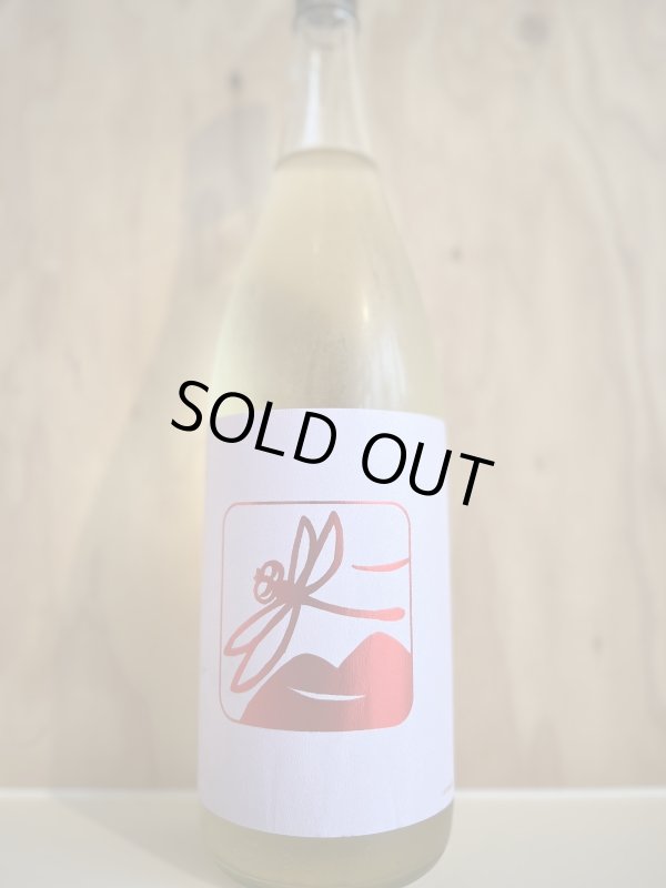 画像1: 28BYいづみ橋〜キモト〜槽場直詰め純米無濾過生原酒1.8L (1)